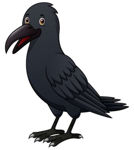 Cartoon crow isolated | Premium Vector