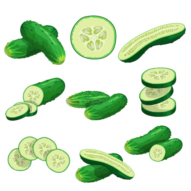 Premium Vector | Cartoon cucumbers set. whole cucumbers, half, flying ...