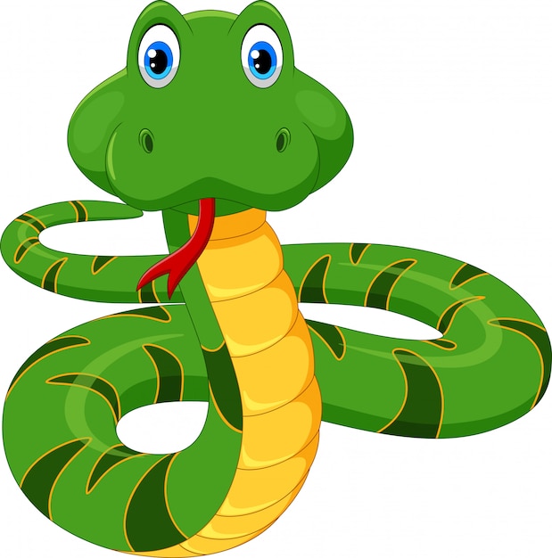 Premium Vector | Cartoon cute green snake