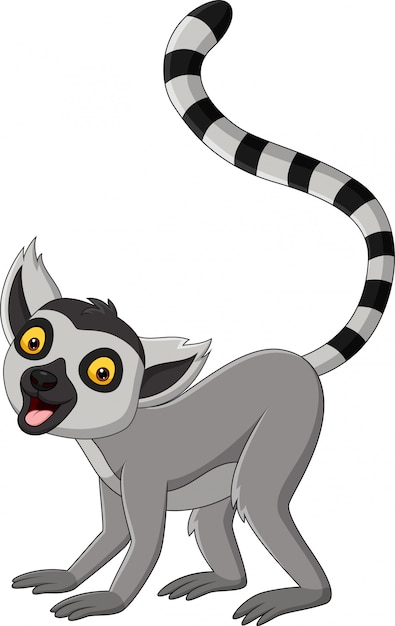 Lemur Cartoon - Stream cartoons the penguins of madagascar 1 episode 24