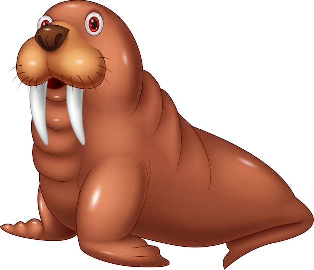 Premium Vector Cartoon cute walrus