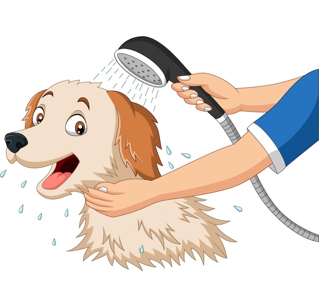 Premium Vector | Cartoon dog bathing with shower