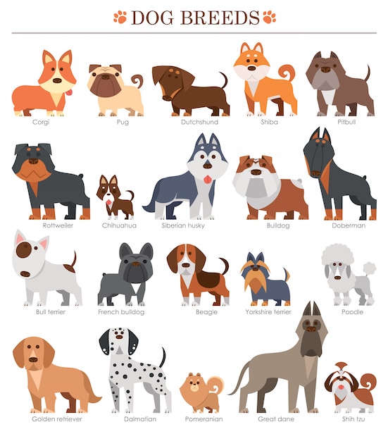 Premium Vector | Cartoon dogs breeds set. cute dog.