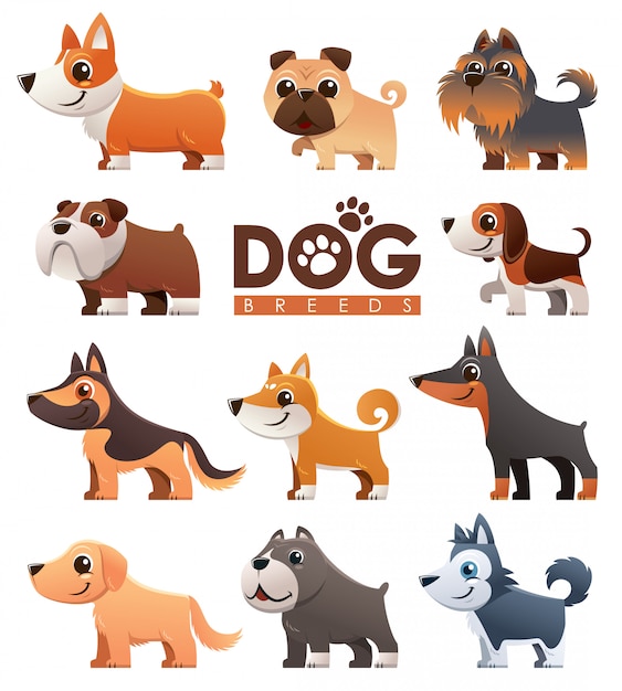 Premium Vector | Cartoon Dogs Breeds Set