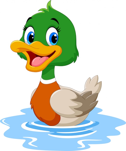 Premium Vector | Cartoon duck swimming