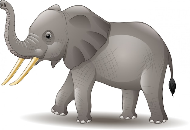 Premium Vector | Cartoon elephant isolated on white background