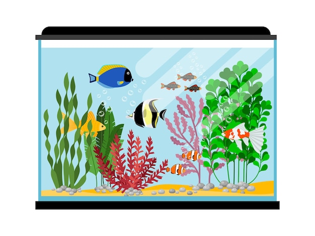 Cartoon fishes in aquarium. saltwater or freshwater fish tank illustration. water animal goldfish, sea tropical color fish Free Vector