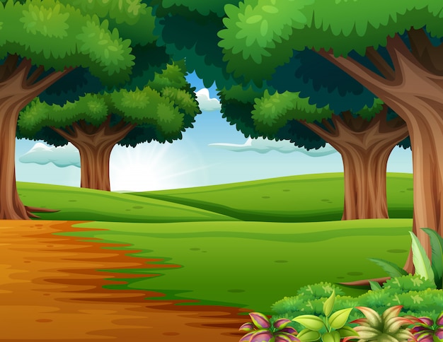 Premium Vector Cartoon Of The Forest Scene With Many Trees