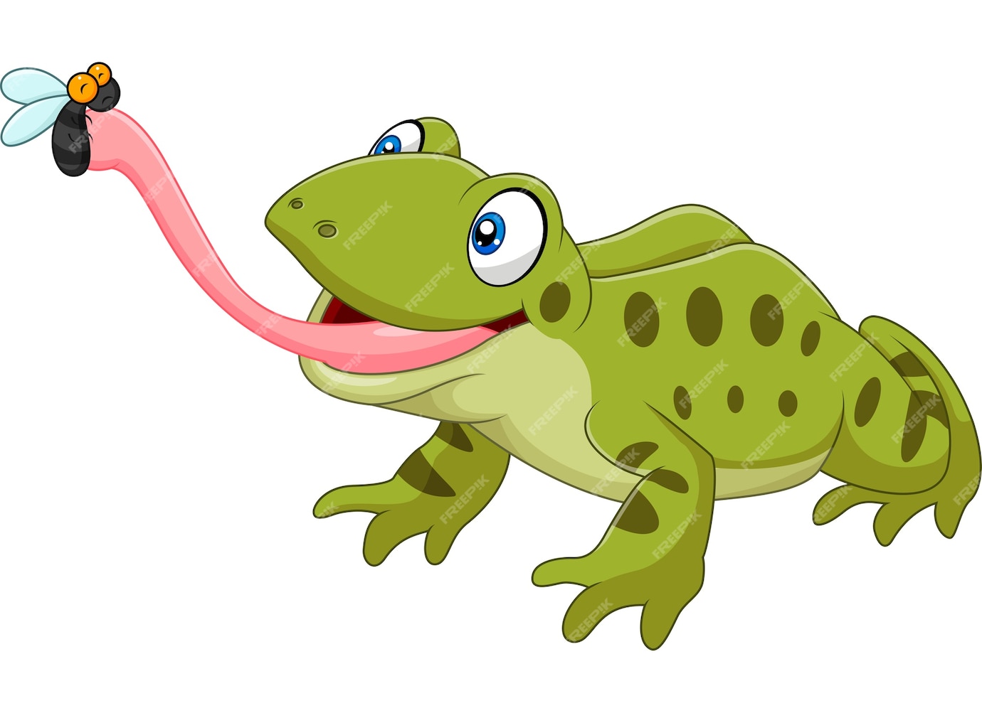 Premium Vector | Cartoon frog catching fly