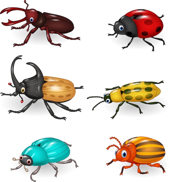 Premium Vector | Cartoon funny beetle collection