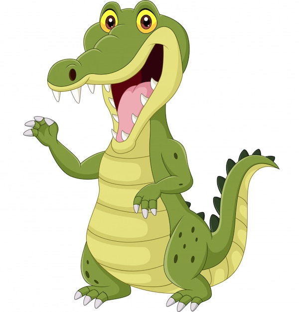 Premium Vector | Cartoon funny crocodile isolated on white