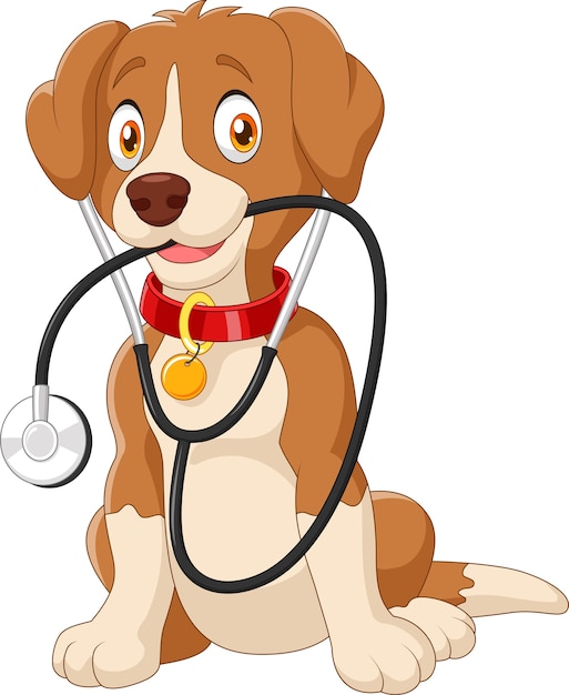 Premium Vector | Cartoon funny dog sitting with stethoscope