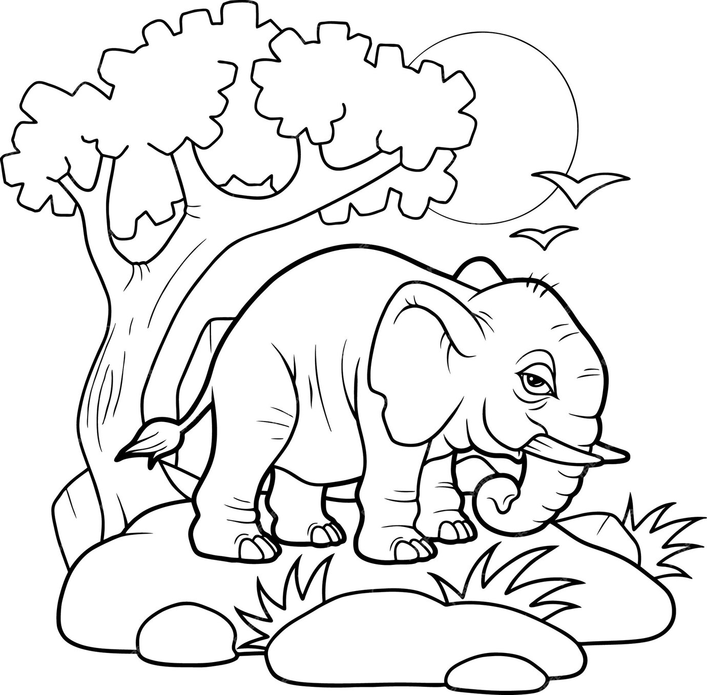 Premium Vector | Cartoon funny elephant coloring book