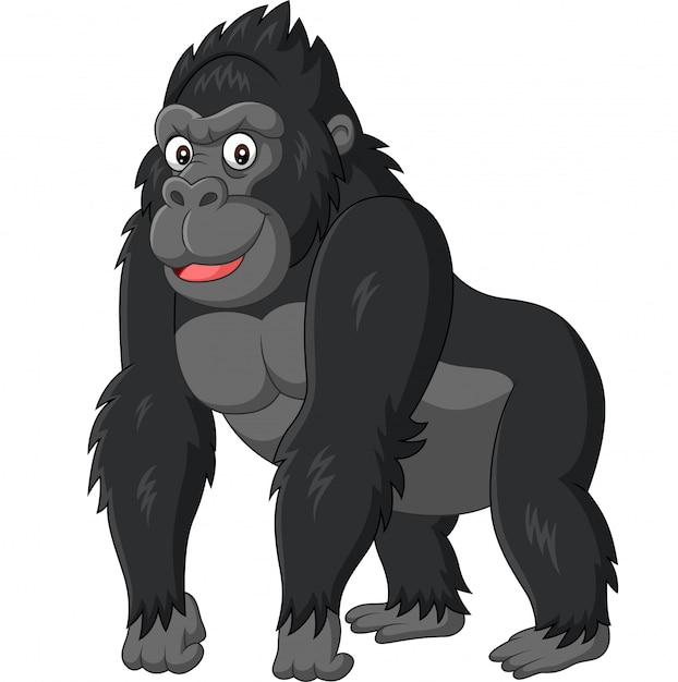 Cartoon Gorilla Pictures