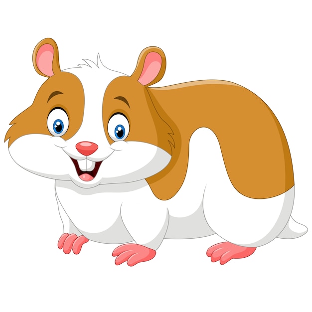 Premium Vector | Cartoon funny hamster isolated on white background