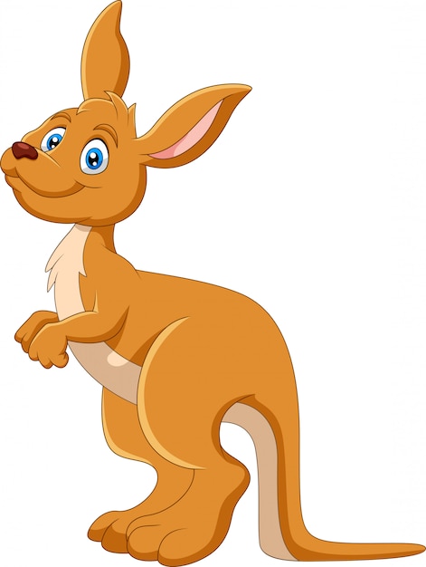 Premium Vector | Cartoon funny kangaroo is smiling