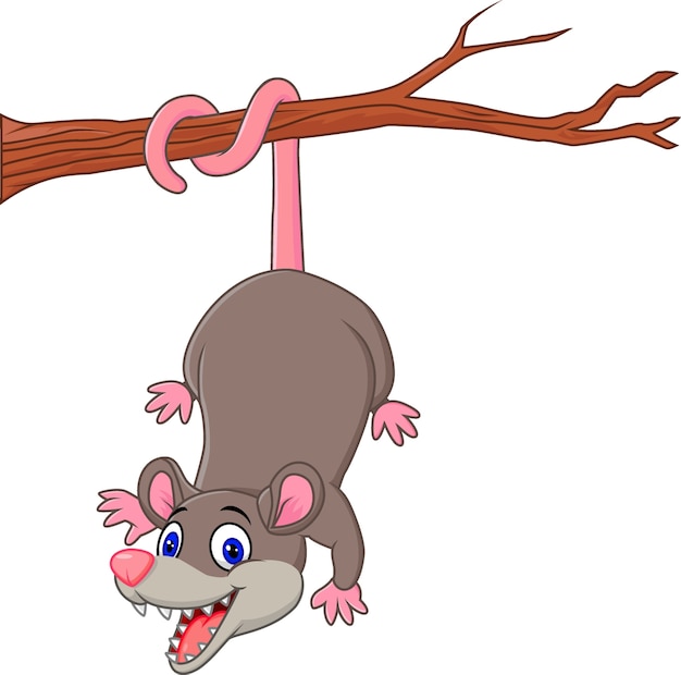 Premium Vector | Cartoon funny opossum on a tree branch