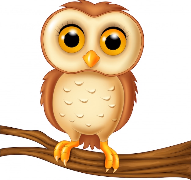 Premium Vector | Cartoon funny owl bird