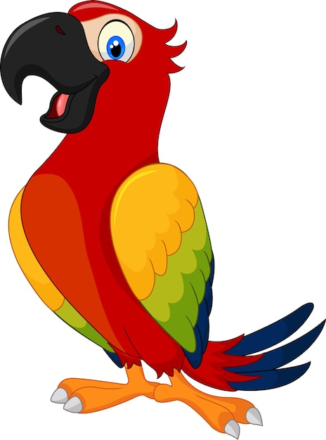 Premium Vector | Cartoon funny parrot isolated on white background