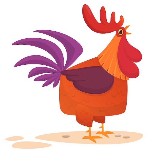 Premium Vector | Cartoon funny rooster illustration