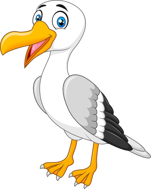 Premium Vector | Cartoon funny seagull posing isolated on white background