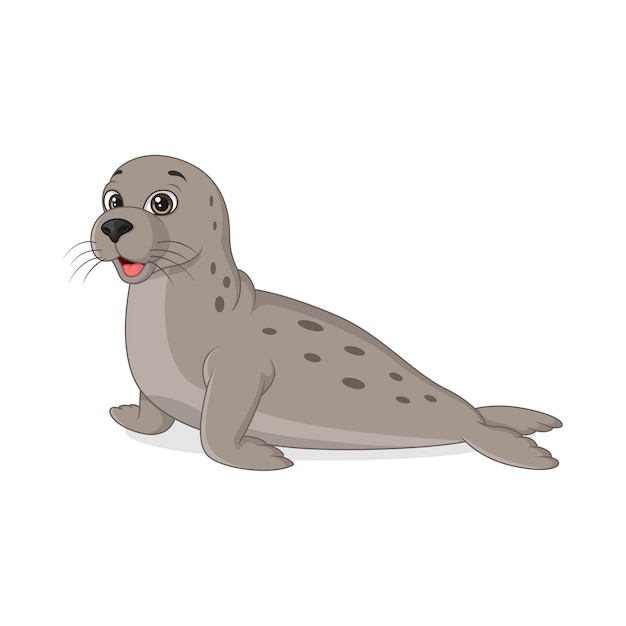 Premium Vector | Cartoon funny seal on white