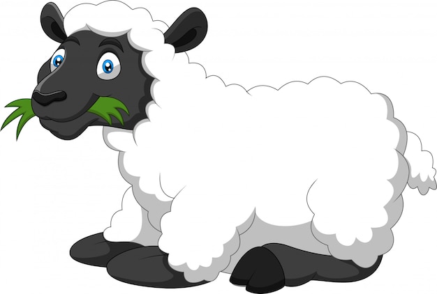 Premium Vector | Cartoon funny sheep eating a grass