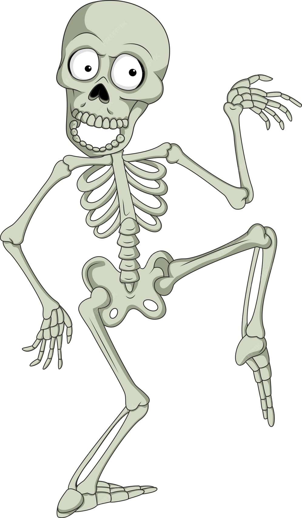 Premium Vector | Cartoon funny skeleton dancing