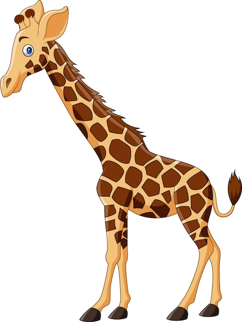 Premium Vector | Cartoon giraffe isolated on white background