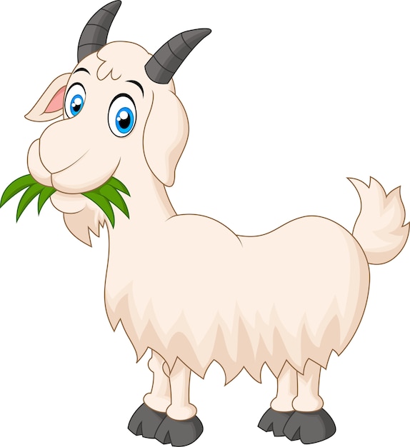 Premium Vector | Cartoon goat eating grass