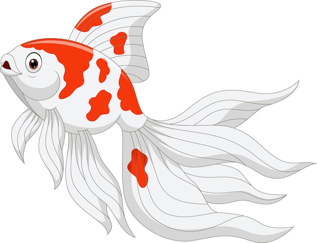 Oranda Goldfish Images Free Vectors Stock Photos Psd