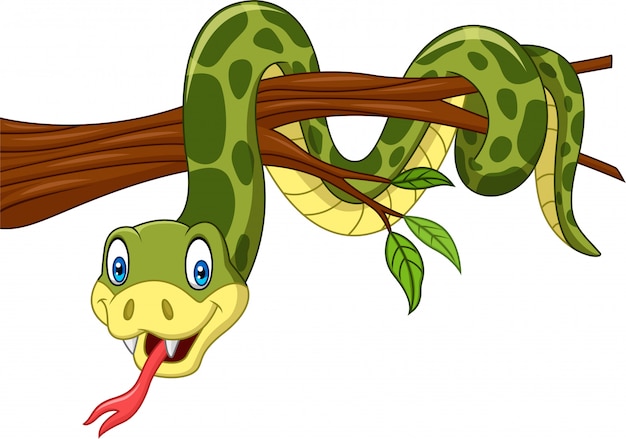 Premium Vector | Cartoon green snake on tree branch