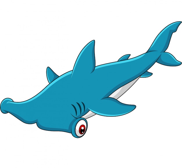 Download Cartoon hammerhead shark Vector | Premium Download