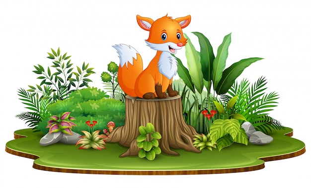 Fox On A Tree Stump Stock Photo. Image Of Tree, Animal - 141453334