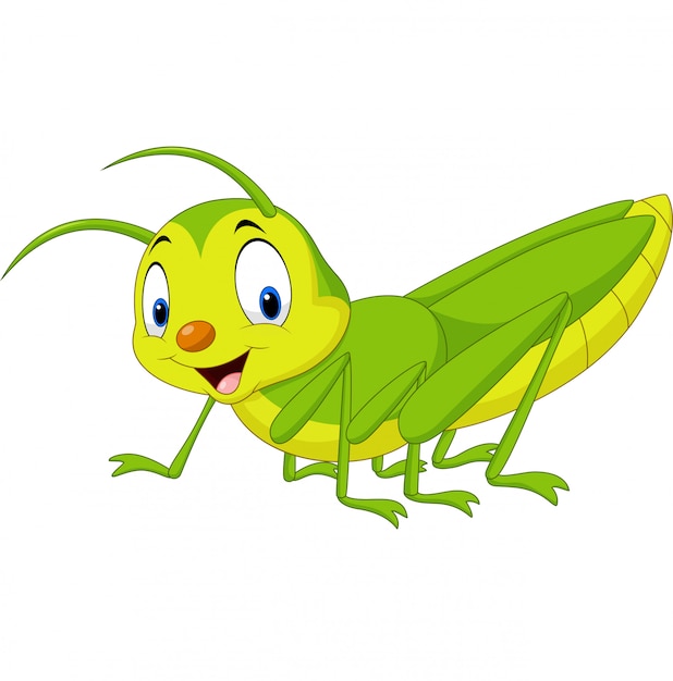 Premium Vector | Cartoon happy grasshopper