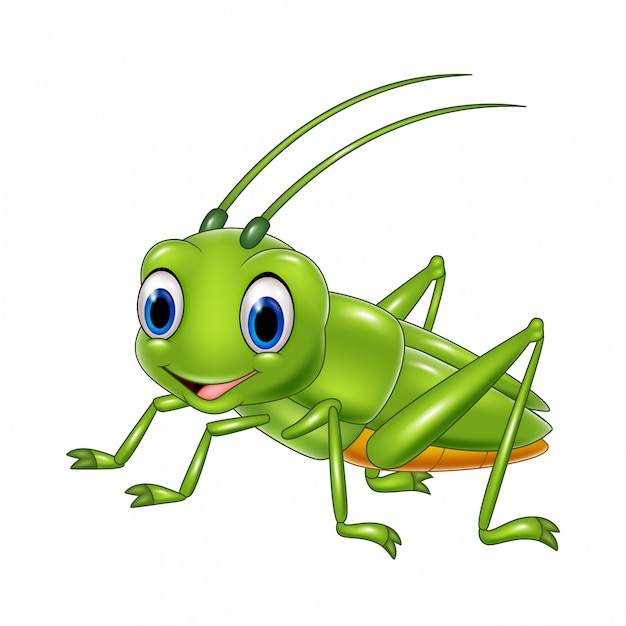 Premium Vector | Cartoon happy grasshopper