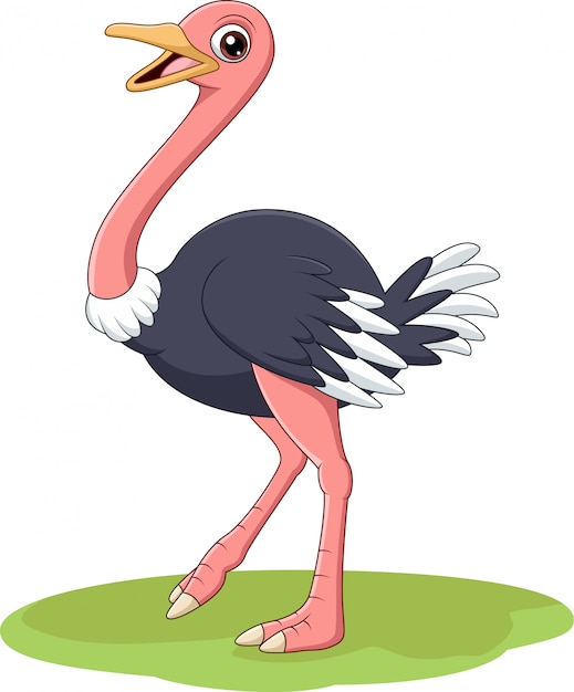 Cartoon happy ostrich in the grass | Premium Vector