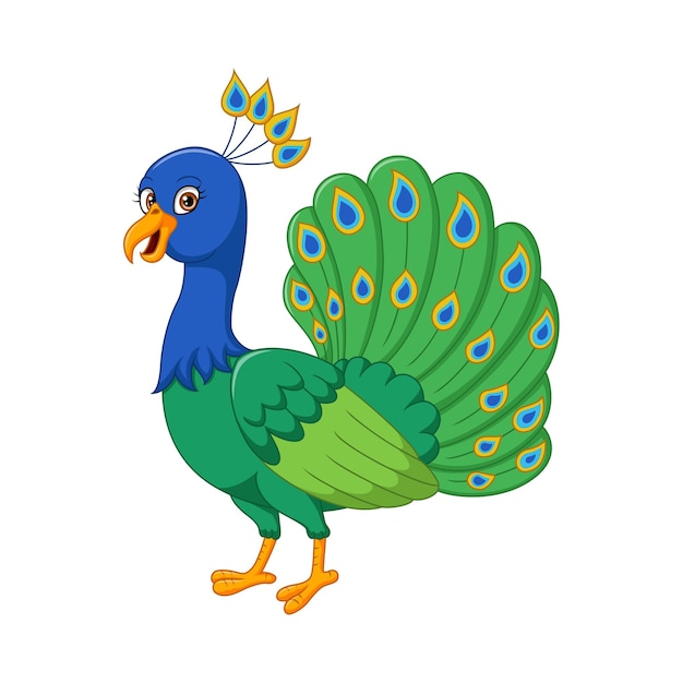 Premium Vector | Cartoon happy peacock