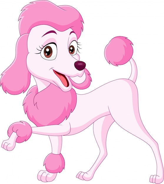 Cartoon happy pink poodle isolated | Premium Vector