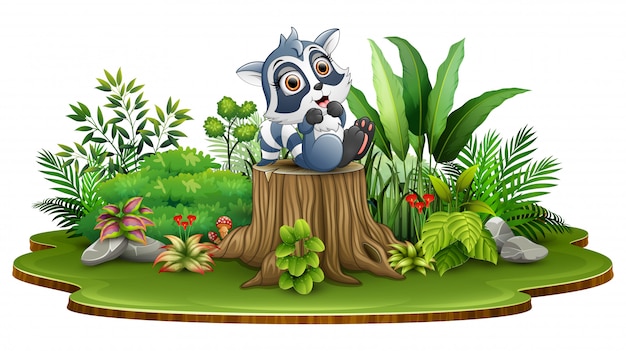 プレミアムベクター 緑の植物と木の切り株に座って漫画の幸せなアライグマ