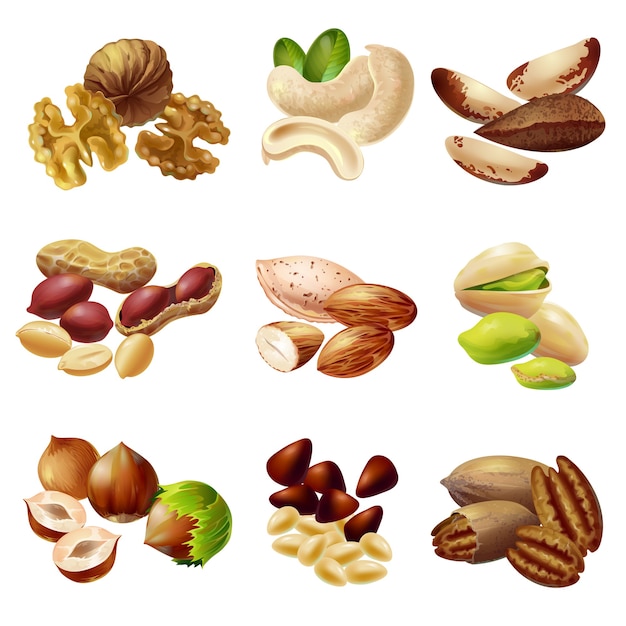 Premium Vector | Cartoon healthy nuts set