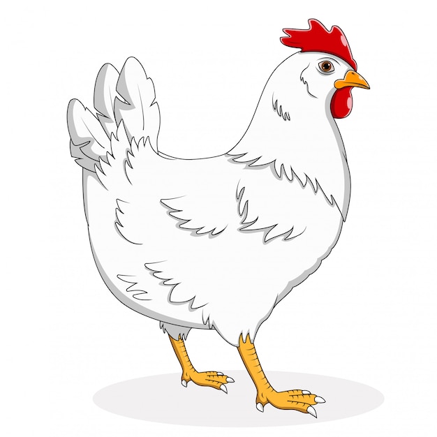 Premium Vector | Cartoon hen on white background