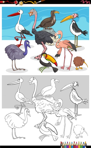 面白い鳥の動物キャラクターの漫画イラストグループ本ページを着色 プレミアムベクター