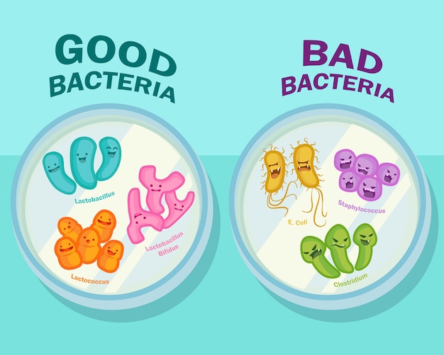 シャーレ 上面に善玉菌と不良菌の漫画イラスト プレミアムベクター