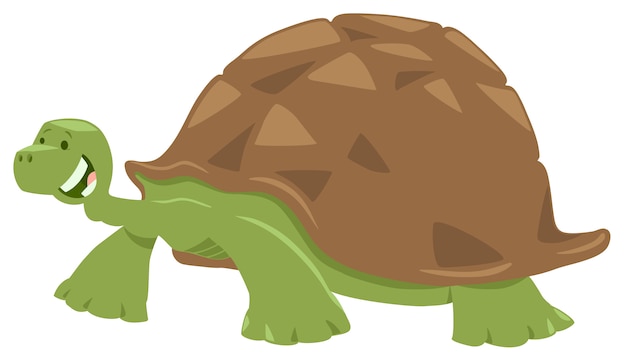 Premium Vector | Cartoon illustration of turtle or tortoise animal