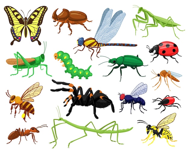 漫画の昆虫 蝶 カブトムシ クモ てんとう虫 毛虫 野生林の昆虫学の昆虫 かわいい自然の野生生物の昆虫が設定されています バッタと蝶 昆虫トンボ プレミアムベクター