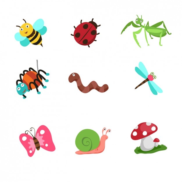 Cartoon insects collection