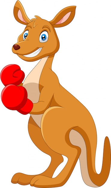 漫画カンガルーはボクシンググローブを着用 プレミアムベクター