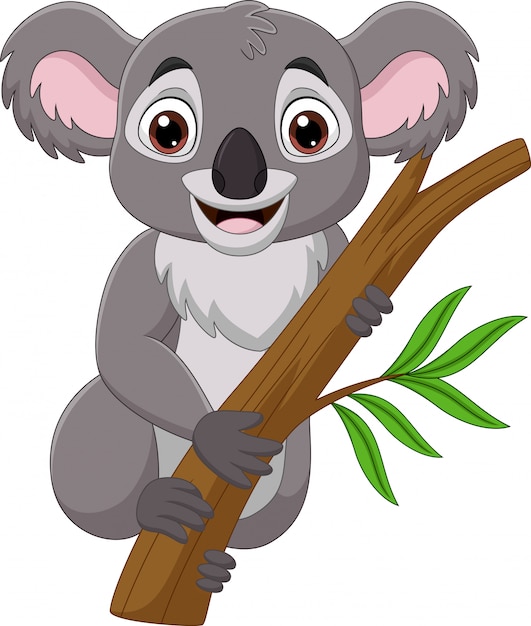 Premium Vector | Cartoon koala on a tree branch