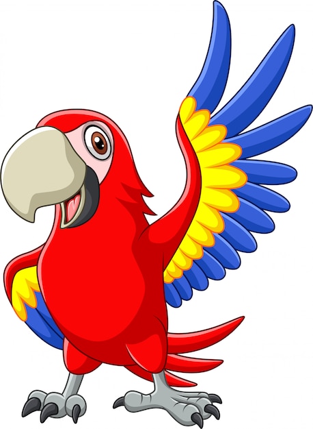 Cartoon macaw waving Premium Vector